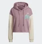 Худи женское Adidas Modern B-Ball Hoodie Brown Hd9784