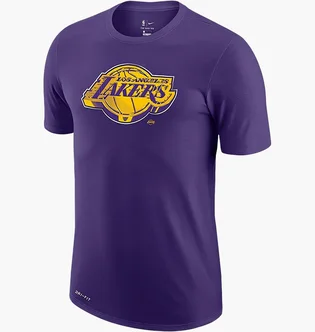 Футболка мужская Nike Nba Los Angeles Lakers Violet CZ7273-547