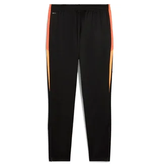 Штаны мужские Puma Individualliga Black 659517-07