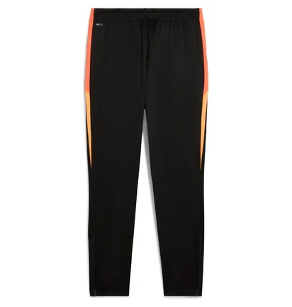 Штаны мужские Puma Individualliga Black 659517-07