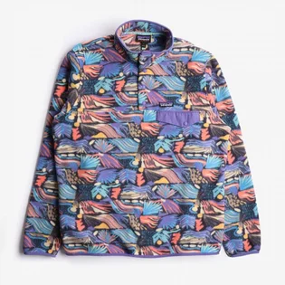 Кофта мужская Patagonia Lightweight Synchilla Snap-T Fleece Pullover Multi 25551