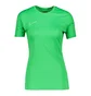 Футболка женская Nike Academy T-Shirt Green DR1338-329
