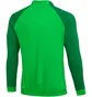 Кофта мужская Nike Nk Df Acdpr Trk Jkt K Green Dh9234-329