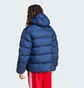 Пуховик мужской Adidas Tonal Hooded Puffer Blue IY3397