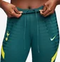 Штаны мужские Nike Tottenham Hotspur 21/22 Dri-Fit Adv Elite Pant Turquoise DB6885-397