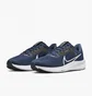Кроссовки мужские Nike Pegasus 40 Blue DV3853-400