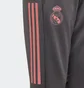 Штаны детские Adidas Real Madrid Training Grey Fq7879