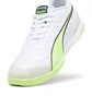 Футзалки мужские Puma Ibero Iv White 107418-01