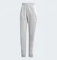 Штани жіночі Adidas Tiro 24 Sweat Pants Grey IS1011