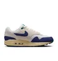 Кросівки чоловічі Nike Air Max 1 Beige/Blue FQ8048-133