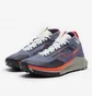 Кросівки чоловічі Nike Pegasus Trail 4 Gore-Tex Violet DJ7926-006