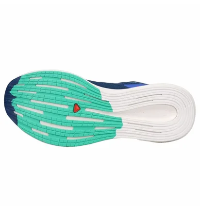 Кросівки чоловічі Salomon Spectur Running Shoes Blue L41589900