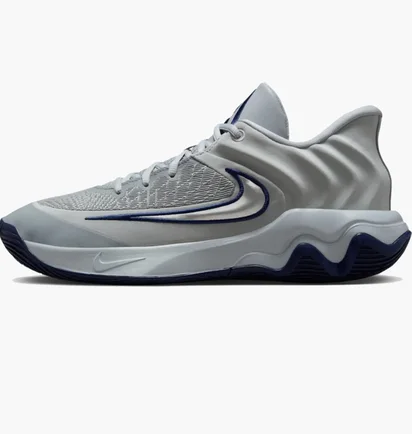 Кросівки чоловічі Nike Giannis Immortality 4 Grey FQ3680-008