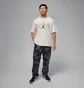 Футболка мужская Air Jordan Brk Arch Jd Hbr Crew White IB7347-133