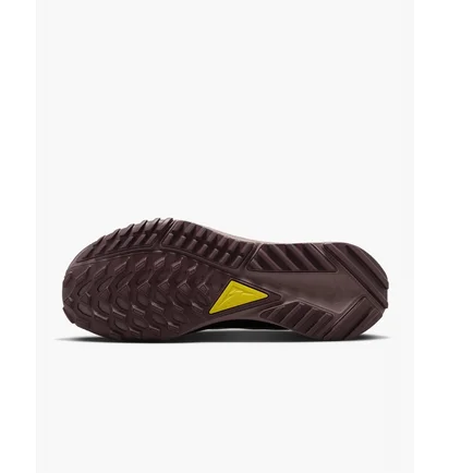 Кросівки жіночі Nike Pegasus Trail 4 Gore-Tex Waterproof Trail Running Shoes Black DJ7929-003
