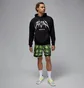 Шорты мужские Air Jordan Dri-Fit Mesh Diamond Green HF9907-358