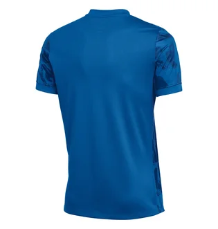 Футболка мужская Nike Precision Vii Blue FZ9332-463