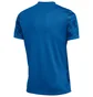 Футболка мужская Nike Precision Vii Blue FZ9332-463