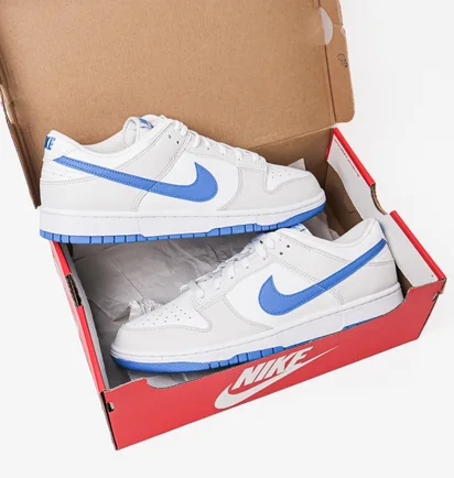 Кроссовки мужские Nike Dunk Low Retro White/Grey DV0831-108