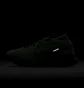 Кроссовки мужские Nike Pegasus Trail 4 Gore-Tex Green DJ7926-303