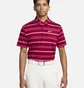 Поло мужское Nike Dri-Fit Tour Striped Golf Polo Violet DR5300-620