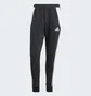 Штаны мужские Adidas Tiro 24 Sweat Tracksuit Bottoms Black IP1976