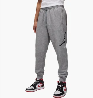 Штаны мужские Air Jordan Baseline Essentials Grey FD7345-091