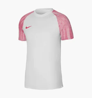 Футболка детская Nike Dri-Fit Academy White DH8369-100