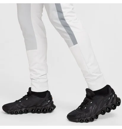 Штани чоловічі Nike M Nsw Air Max Pk Jogger White/Grey HQ4900-025