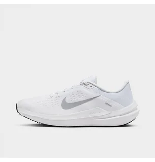 Кроссовки мужские Nike Winflo 10 Running Shoes White DV4022-102
