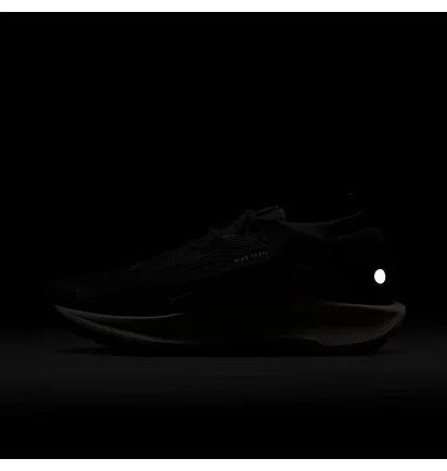 Кроссовки мужские Nike Pegasus Trail 5 Gore-Tex Black FQ0908-007