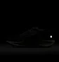 Кроссовки мужские Nike Pegasus Trail 5 Gore-Tex Black FQ0908-007