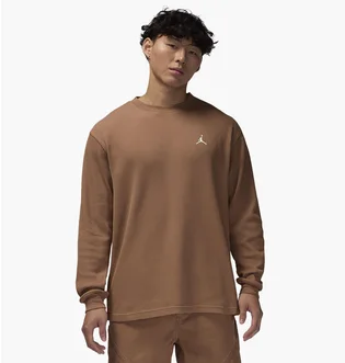 Свитшот мужской Air Jordan Essential Lifestyle Brown FV7456-223