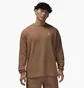 Свитшот мужской Air Jordan Essential Lifestyle Brown FV7456-223