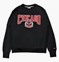 Свитшот мужской Nike Chi M Nk Flc Crew Cts 75 Nba Black DJ2797-010