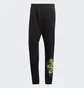 Штаны мужские Adidas Graphics Behind The Trefoil Sweat Black HC7982