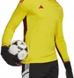 Лонгслів чоловічий Adidas Long-Sleeve Jersey T23 C Gk Jsy L Yellow HK7696