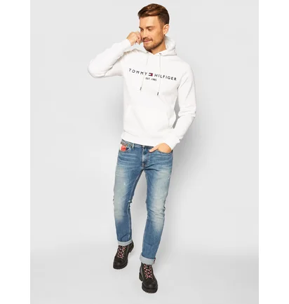 Худі чоловіче Tommy Hilfiger Logo Beige MW0MW11599
