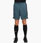 Шорти чоловічі Nike Dri-Fit Academy Blue DV9742-328