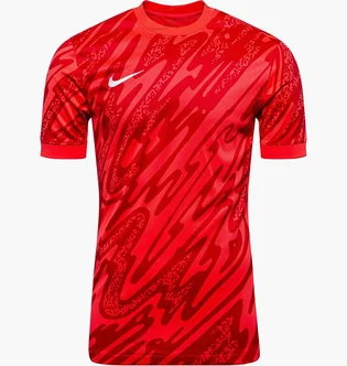 Футболка мужская Nike Gardien V Red FD7482-644