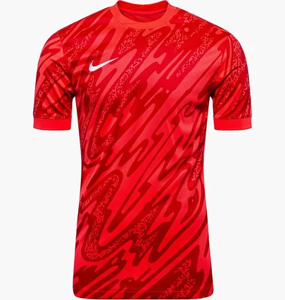 Футболка мужская Nike Gardien V Red FD7482-644