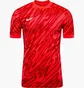 Футболка мужская Nike Gardien V Red FD7482-644