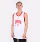 Майка мужская Nike Chicago Bulls White DB1270-100