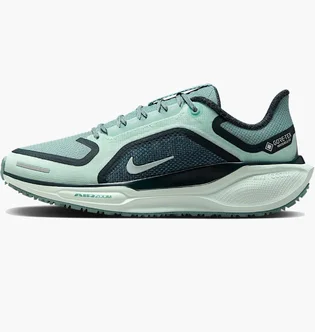 Кросівки жіночі Nike Pegasus 41 Gore Tex Turquoise FQ1357-003