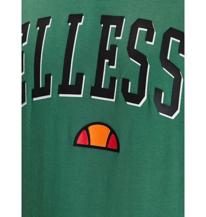 Футболка мужская Ellesse Colombia 2 Tee Shr17640-503 Green SHR17640-503