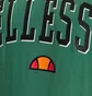 Футболка мужская Ellesse Colombia 2 Tee Shr17640-503 Green SHR17640-503