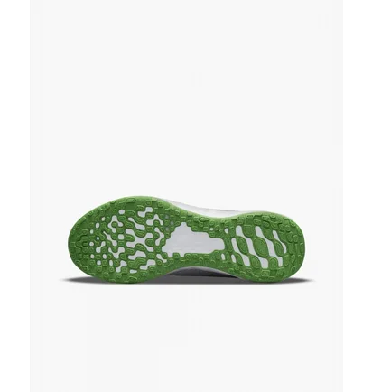 Кроссовки детские Nike Big Kids Road Running Shoes Grey Dd1096-009