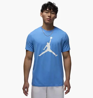 Футболка мужская Air Jordan M J Jumpman Ss Crew Light Blue CJ0921-469