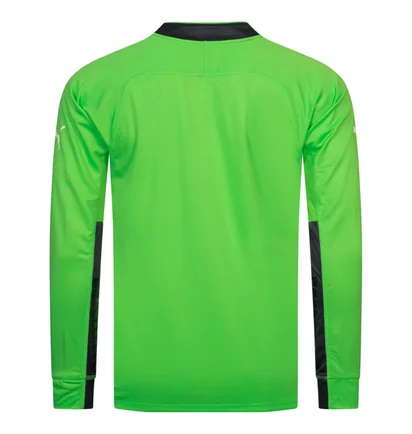 Лонгслив мужской Puma Padded Long-Sleeved Goalkeeper Green 701918-43