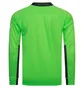 Лонгслив мужской Puma Padded Long-Sleeved Goalkeeper Green 701918-43